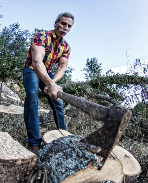 Woodcutter at work — Stock Photo, Image