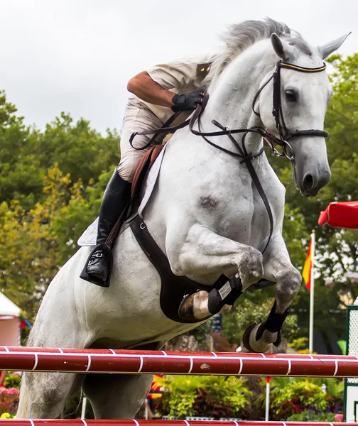 Gara di salto a cavallo — Foto Stock