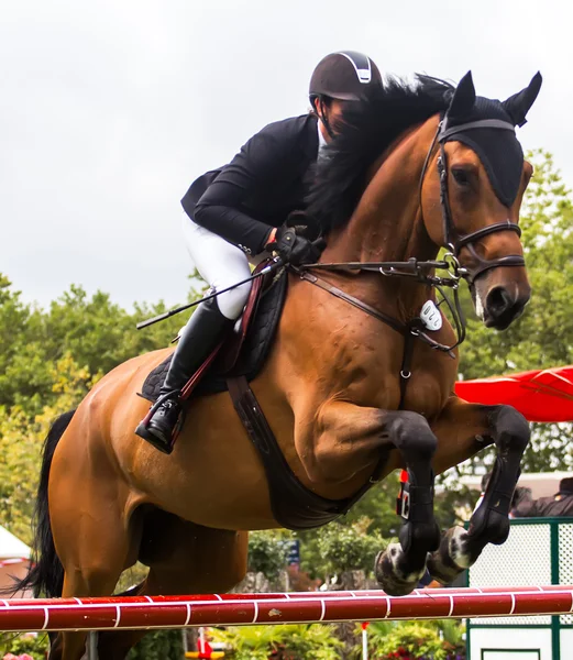 Competição de salto de cavalo — Fotografia de Stock