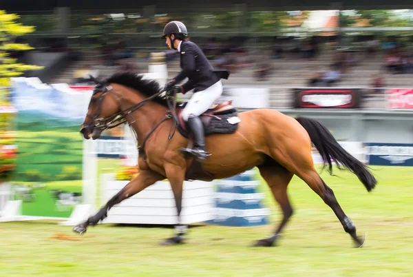 Horse jumping competition — Stock Photo, Image