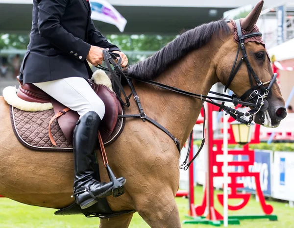 Competição de salto de cavalo — Fotografia de Stock