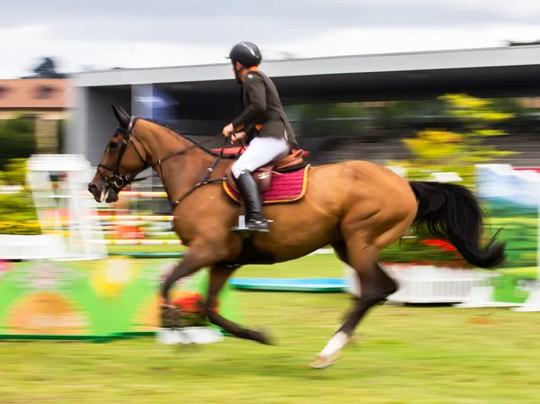 Horse jumping competition — Stock Photo, Image