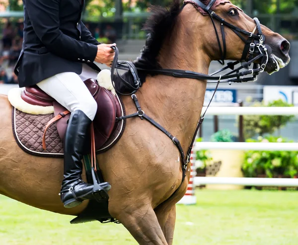 Gara di salto a cavallo — Foto Stock