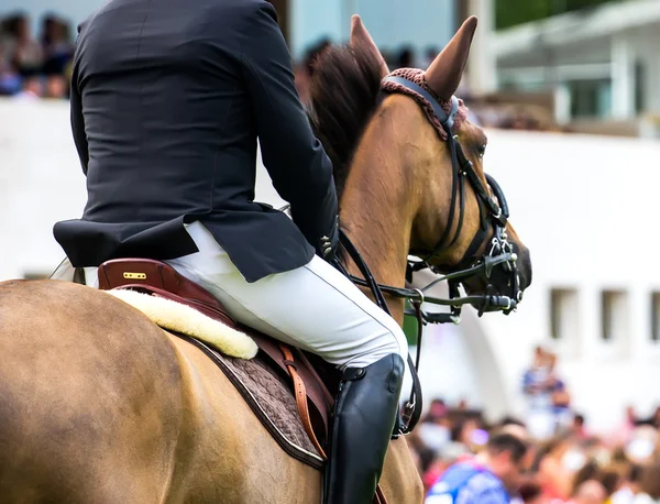 Gara di salto a cavallo — Foto Stock