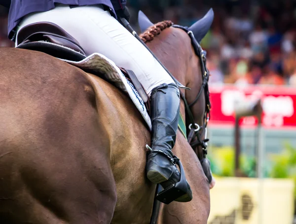 Horse jumping competition — Stock Photo, Image