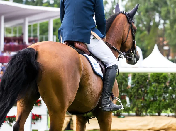 Gara di salto a cavallo — Foto Stock