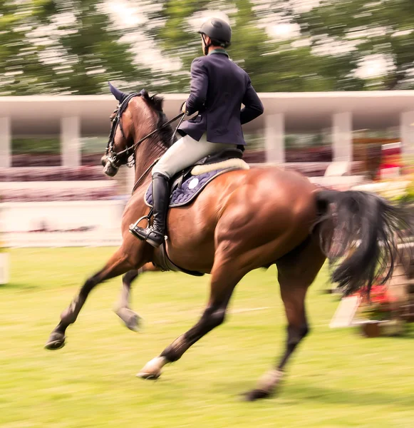 Concours de saut à cheval — Photo