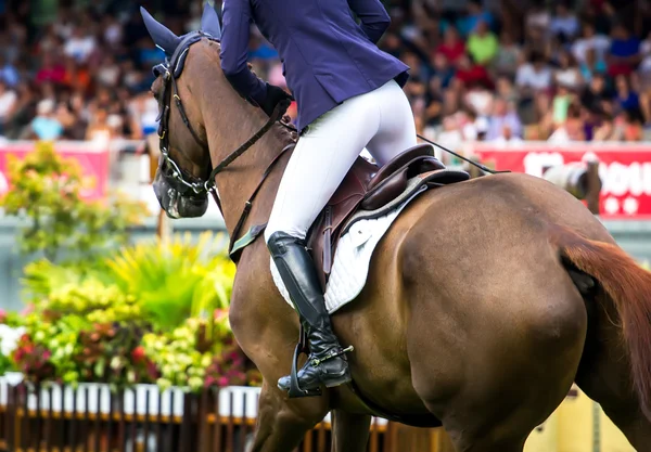 Horse jumping competition — Stock Photo, Image