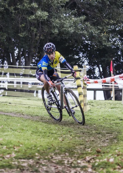 Competição Cyclocross 2015 — Fotografia de Stock