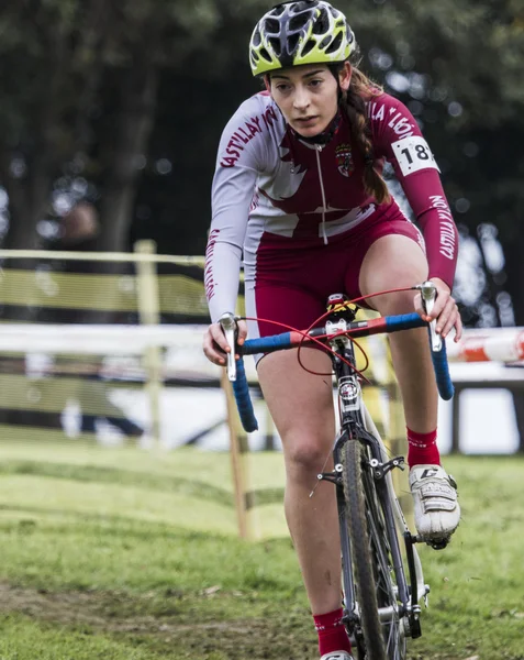 Cyclocross rekabet 2015 — Stok fotoğraf