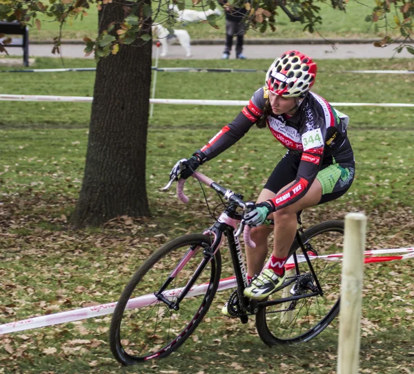 Competição Cyclocross 2015 — Fotografia de Stock