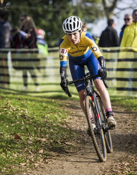 Cyclocross Championship 2015 — Stock Photo, Image