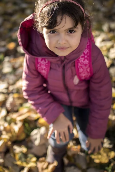 Liten flicka poserar i nedfallna löv — Stockfoto