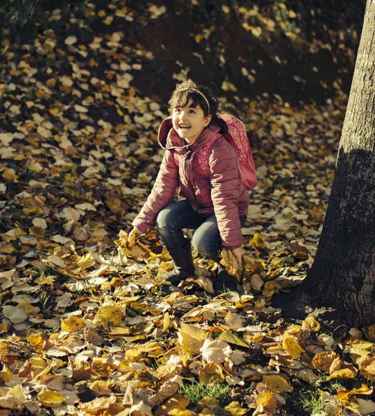 Bambina che gioca in foglie cadute — Foto Stock