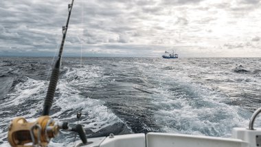 Bir ton balığı Balıkçı teknesinde balık oltası