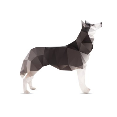 Beyaz bir arka plan üzerinde izole köpek soyut.