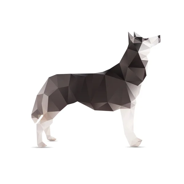 Perro abstracto aislado sobre un fondo blanco . — Archivo Imágenes Vectoriales