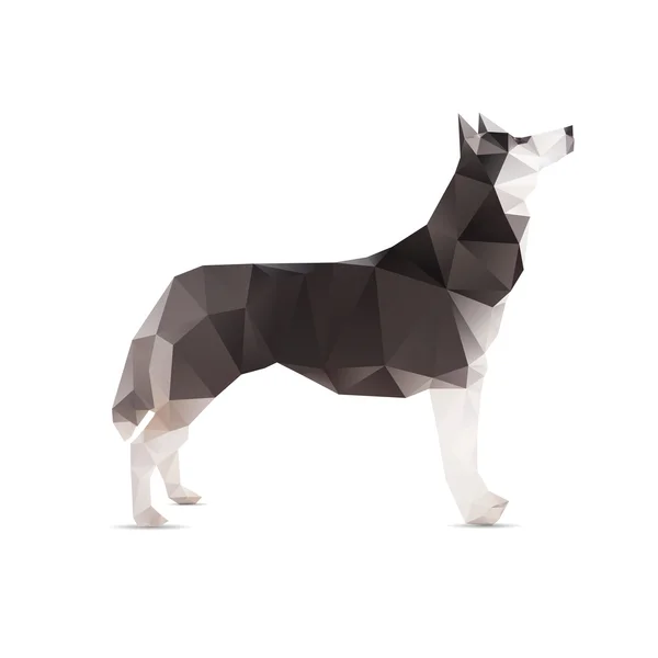 Perro abstracto aislado sobre un fondo blanco . — Vector de stock