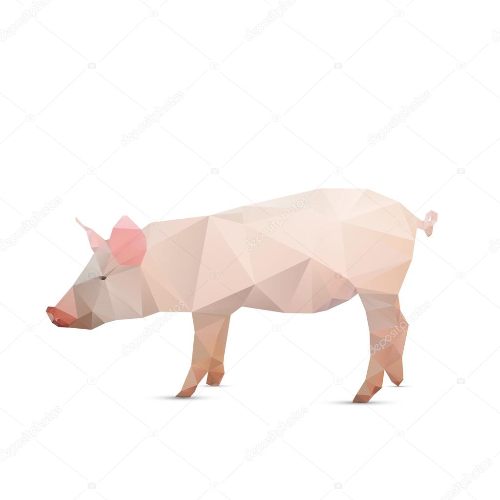 Abstract pig isolated on a white backgrounds, vector illustratio