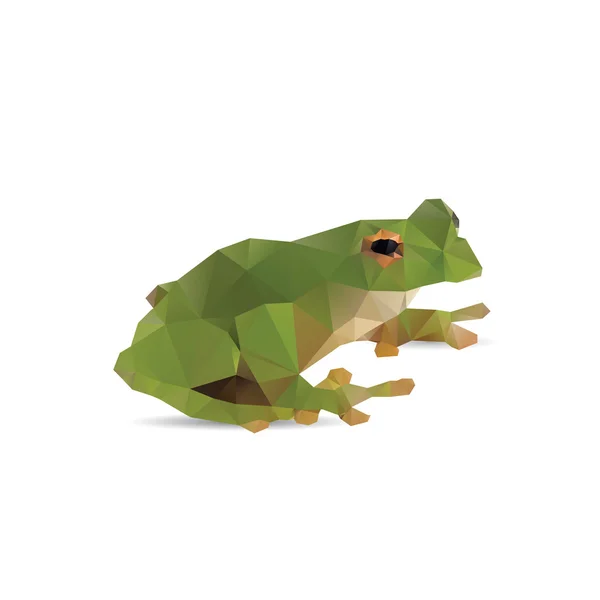 Grenouille abstraite isolée sur fond blanc — Image vectorielle