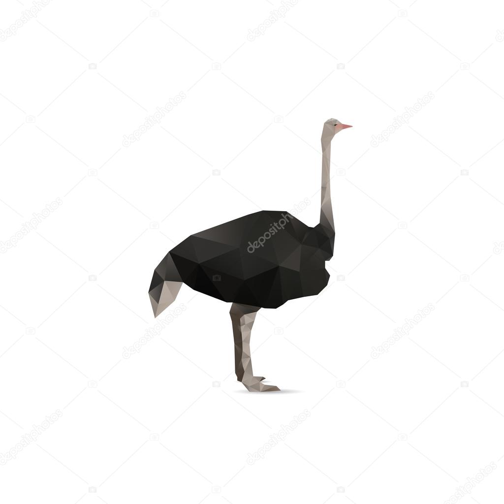 Abstract ostrich isolated on a white backgrounds 