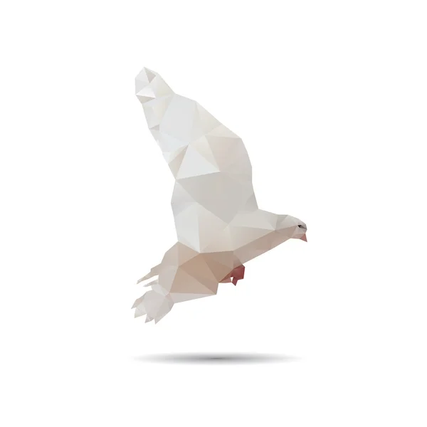 Taube isoliert auf weißem Hintergrund — Stockvektor