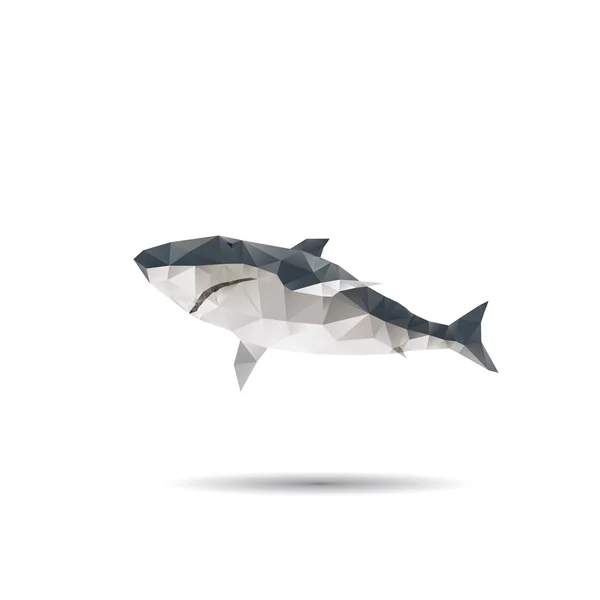 Абстрактная акула на белом фоне — стоковый вектор