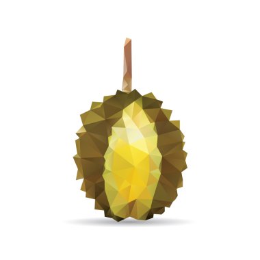 Durian soyut bir beyaz arka plan üzerinde izole 