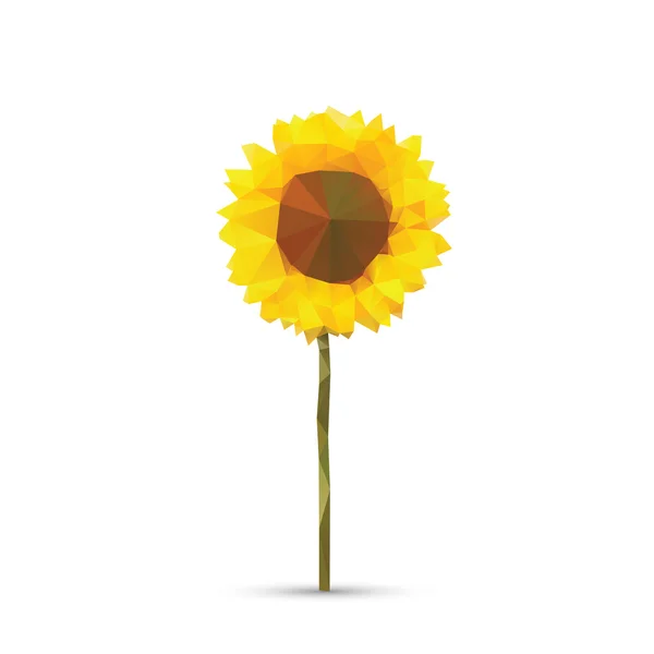 Vektor abstrakter Sonnenblumenabstrakt isoliert auf weißem Hintergrund — Stockvektor