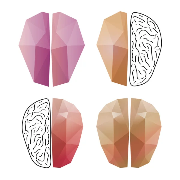 Cérebro abstrato isolado em fundos brancos — Vetor de Stock