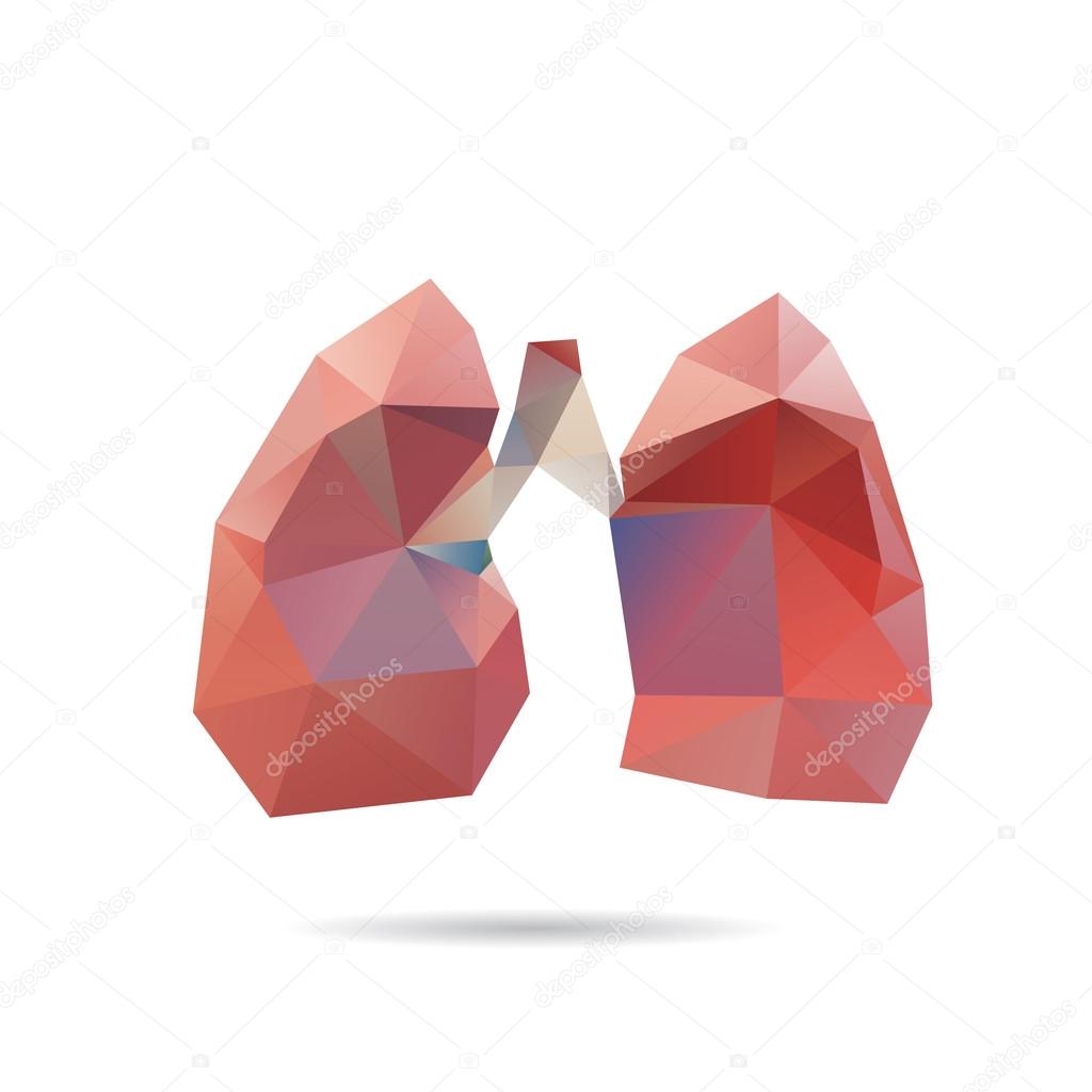 Lungs abstract isolated on a white backgrounds