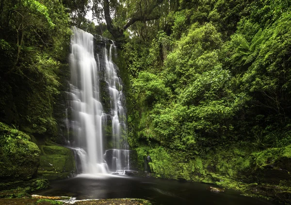 Maclean Falls — Stock Photo, Image