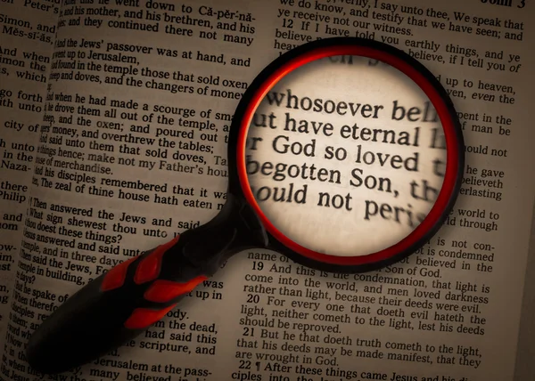 John 316 büyütülmüş