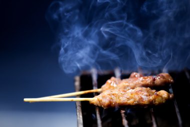 Domuz Barbekü rostosu kömür ateşle. Barb üzerinde gri duman soar