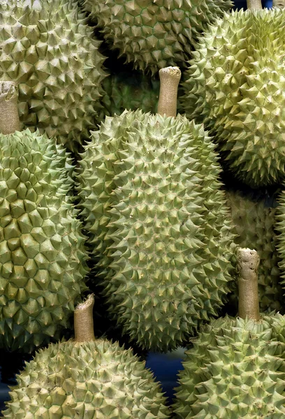 Durian taze meyve, Doğu Asya, Tayland, Malezya üzerinden tatlı.