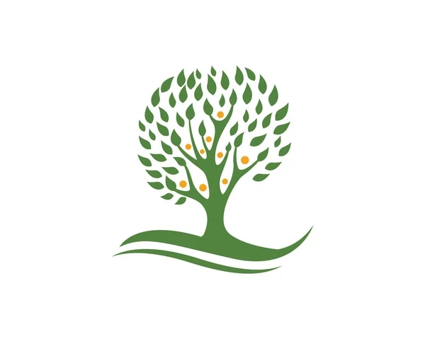 Modelo de logotipo da árvore ecológica — Vetor de Stock