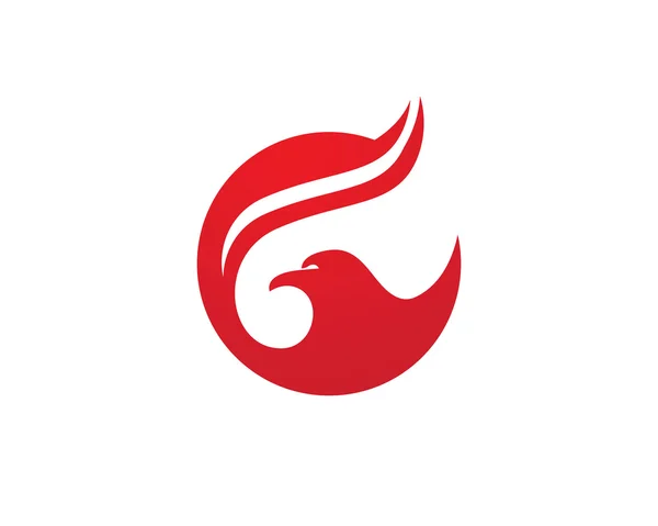 Falcon Logo Şablon vektör simgesi — Stok Vektör