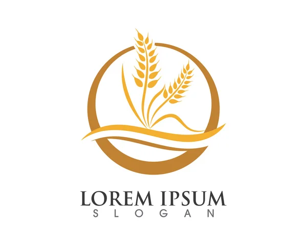 buğday logo şablonu