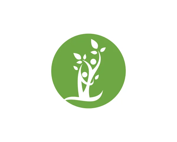 Drzewo przejść zdrowie zielony — Wektor stockowy