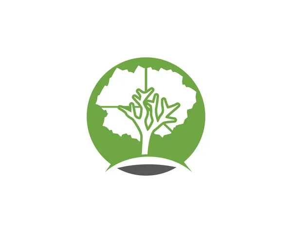 Árvore ir saúde verde — Vetor de Stock