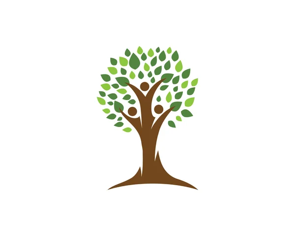 Modelo de logotipo da árvore genealógica — Vetor de Stock