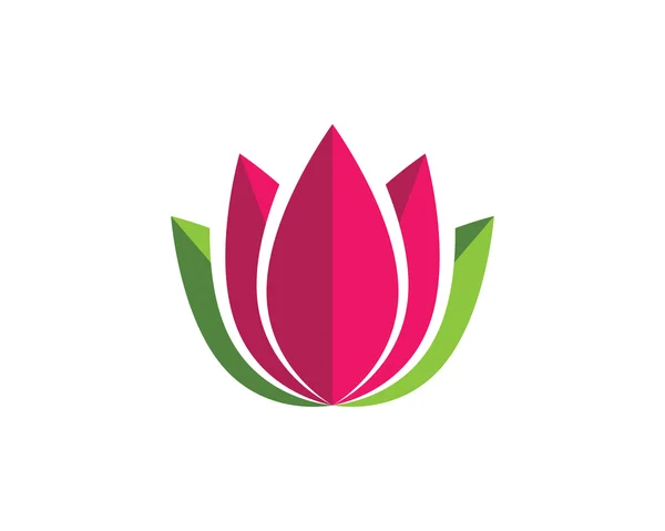 Güzellik Lotus Logo şablonu — Stok Vektör