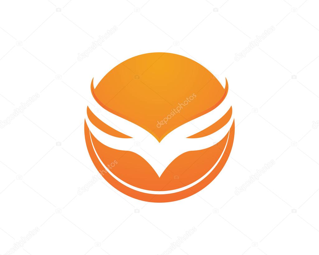 V Wing Logo Template Falcon Eagle Bird Logo Template vector icon