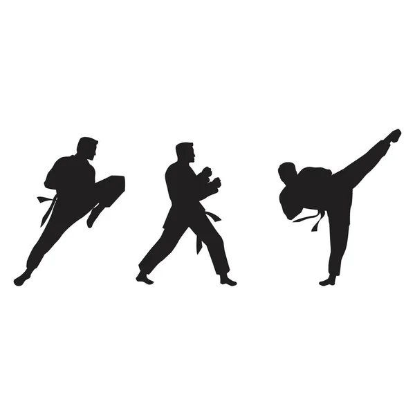 Taekwondo Vector Ikon Design Illusztráció Sablon — Stock Vector