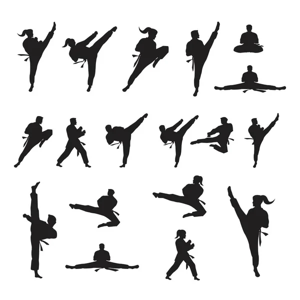 Taekwondo Vector Icon Design Illustration Vorlage — Stockvektor