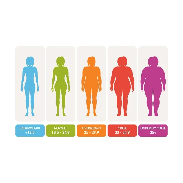 Body Mass Index Vector Illustratie Ontwerp Sjabloon — Stockvector