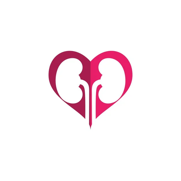 Kidney Vector Illusrtation Design Logo Template — Stock Vector