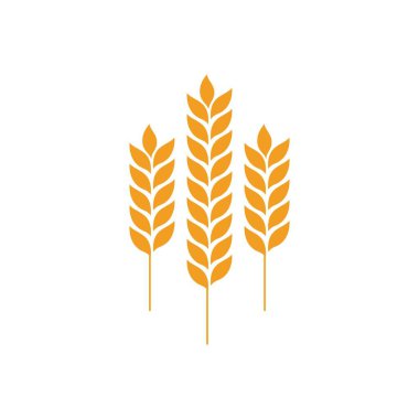 Tarım buğday vektör tasarımı 