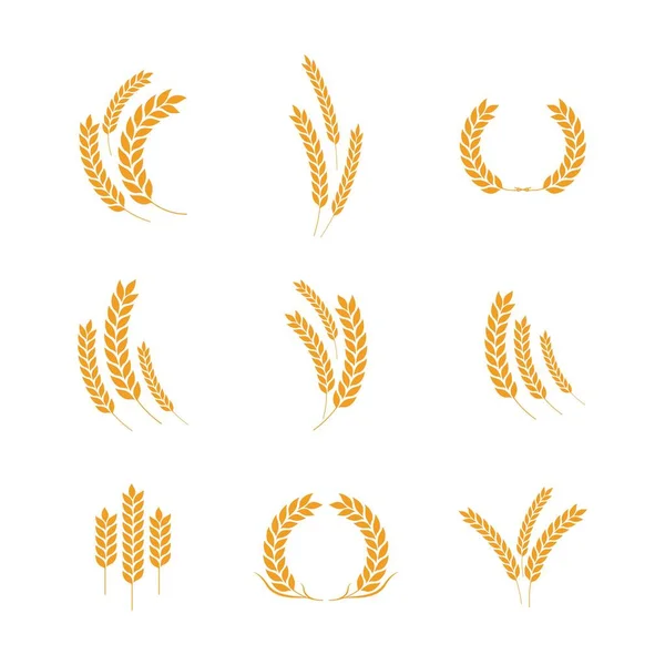 Agricultura Trigo Vector Icono Diseño — Archivo Imágenes Vectoriales