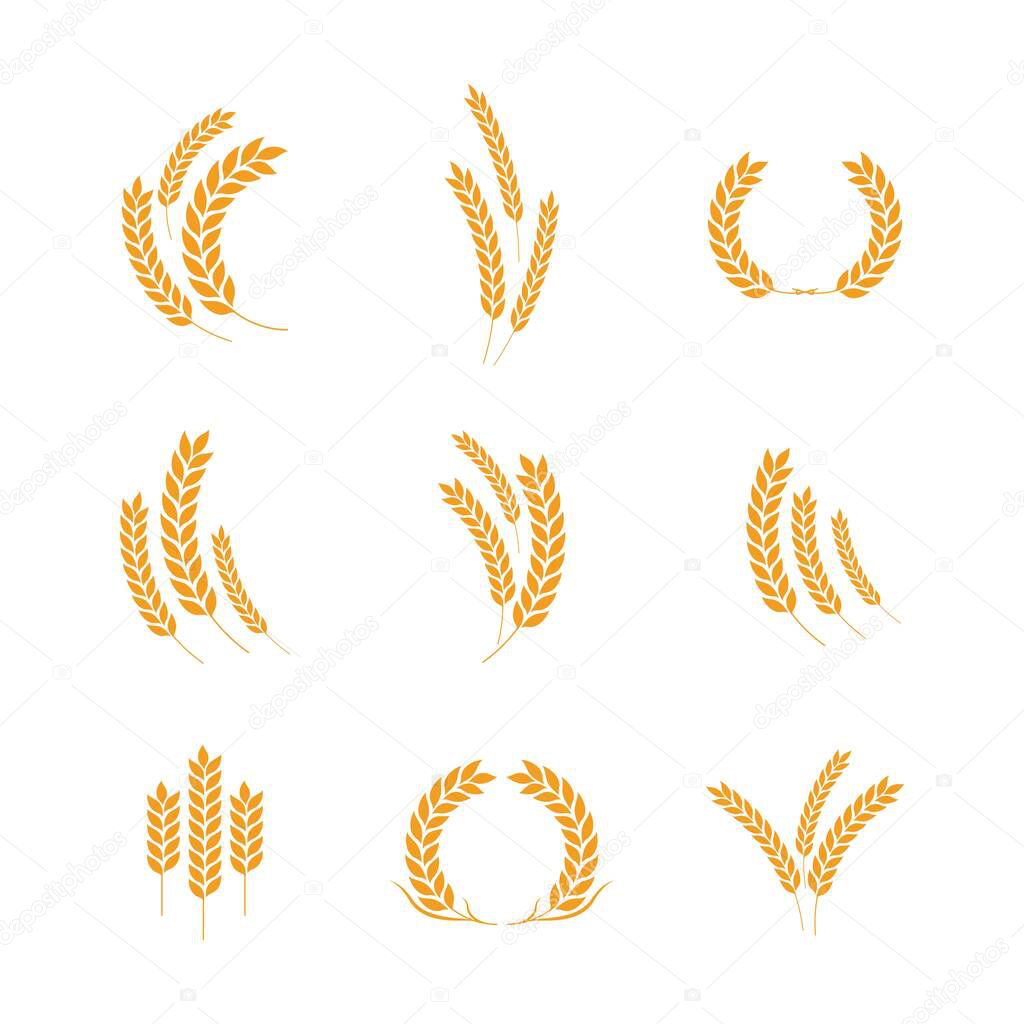 Agriculture wheat vector icon design 